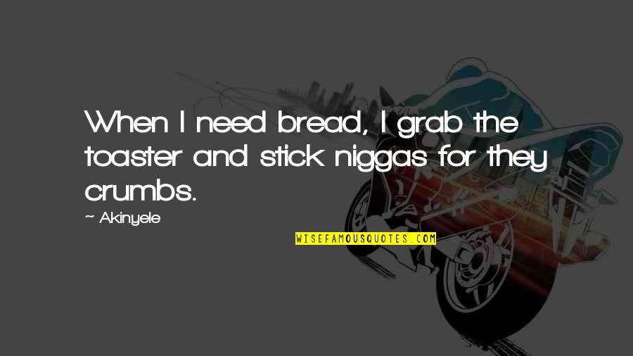 Bread Crumbs Quotes By Akinyele: When I need bread, I grab the toaster