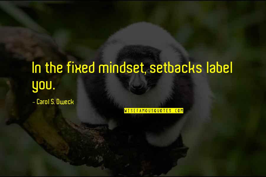 Bread Making Quotes By Carol S. Dweck: In the fixed mindset, setbacks label you.