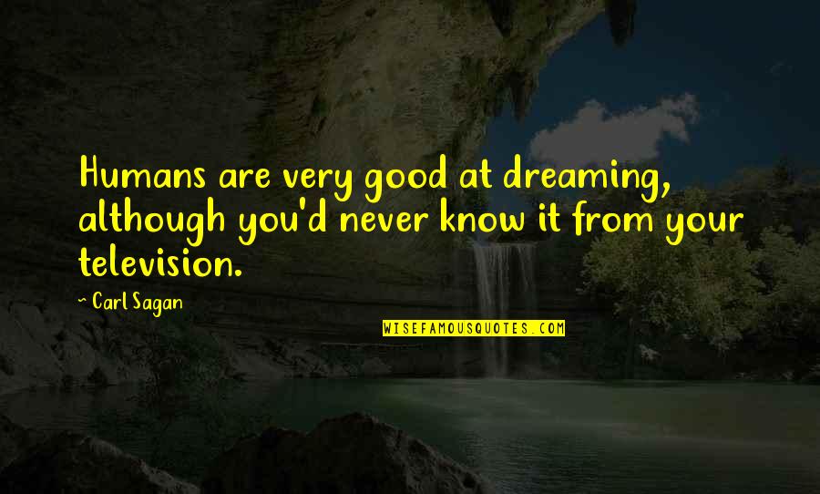 Break Ball Quotes By Carl Sagan: Humans are very good at dreaming, although you'd
