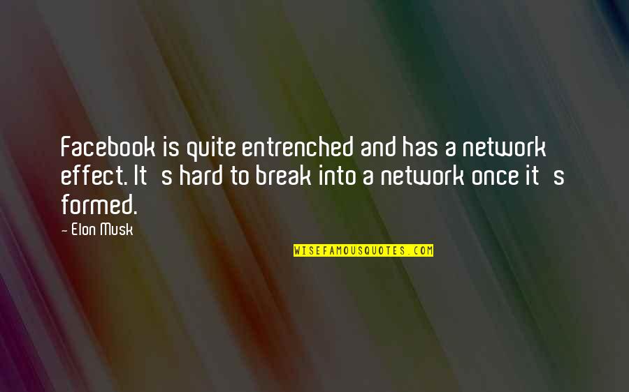 Break From Facebook Quotes By Elon Musk: Facebook is quite entrenched and has a network