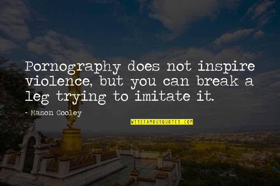 Break Leg Quotes By Mason Cooley: Pornography does not inspire violence, but you can