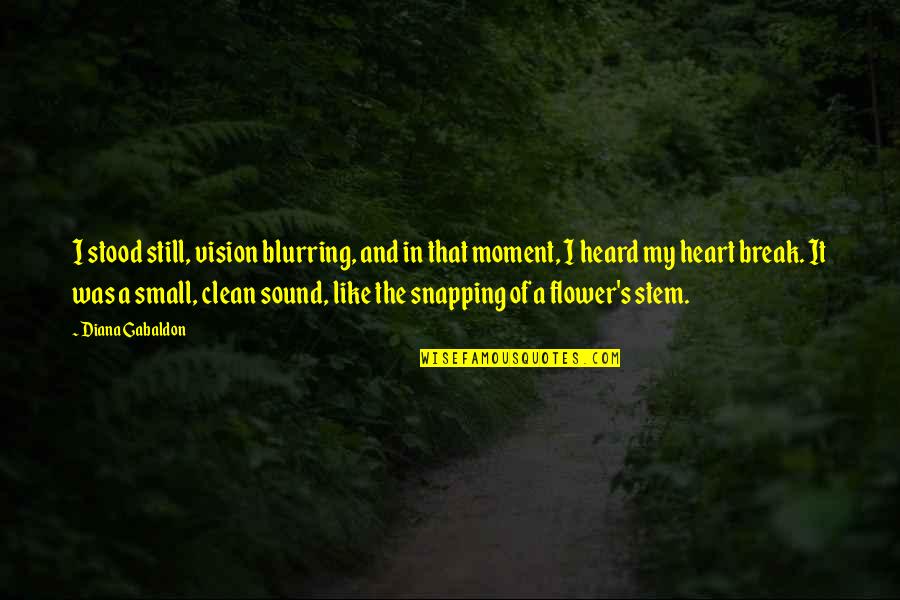 Break My Heart Quotes By Diana Gabaldon: I stood still, vision blurring, and in that Break My Heart Quotes By Diana Gabaldon: I stood still, vision blurring, and in that