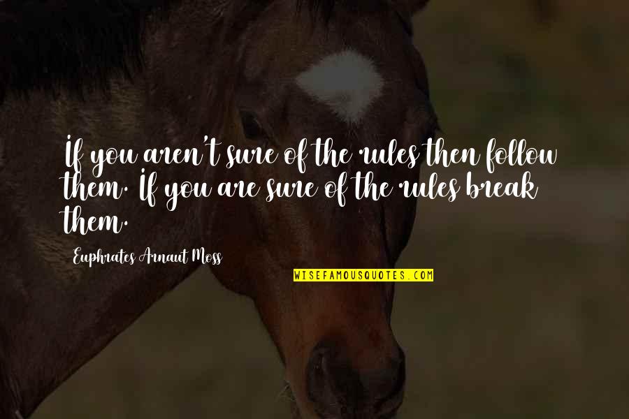 Break Some Rules Quotes By Euphrates Arnaut Moss: If you aren't sure of the rules then Break Some Rules Quotes By Euphrates Arnaut Moss: If you aren't sure of the rules then
