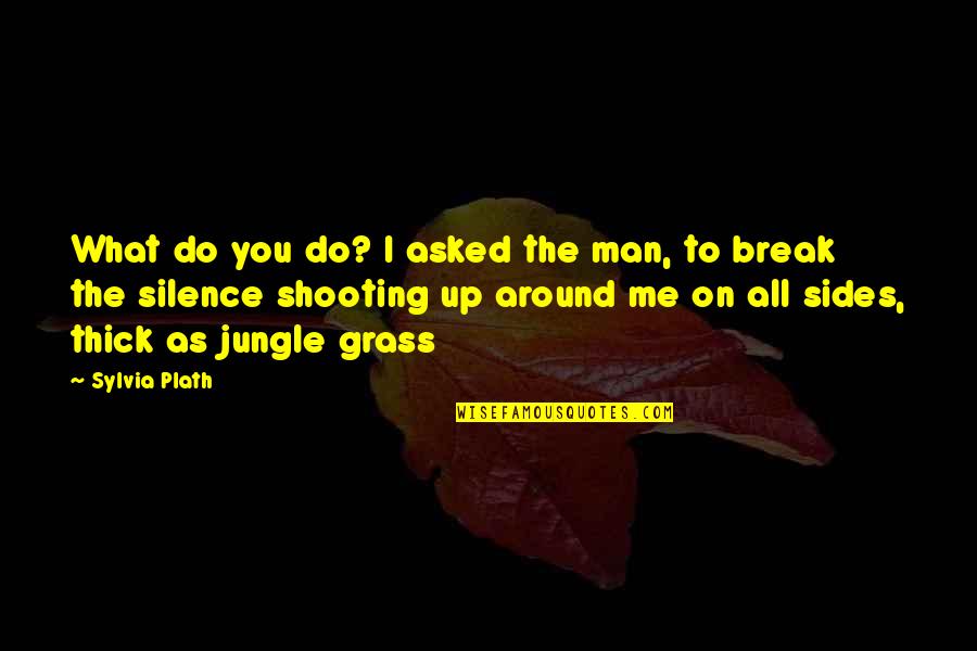 Break The Silence Quotes By Sylvia Plath: What do you do? I asked the man,