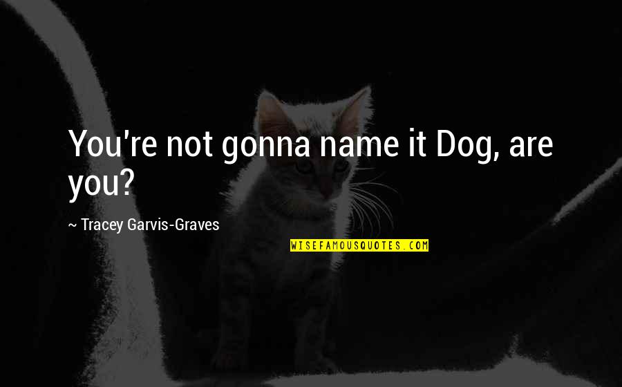 Break Up Line Quotes By Tracey Garvis-Graves: You're not gonna name it Dog, are you?