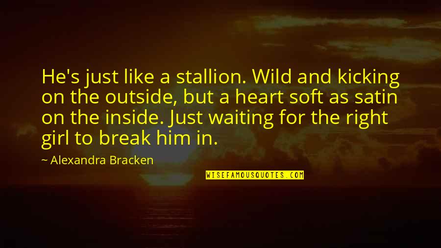 Break Up With A Girl Quotes By Alexandra Bracken: He's just like a stallion. Wild and kicking