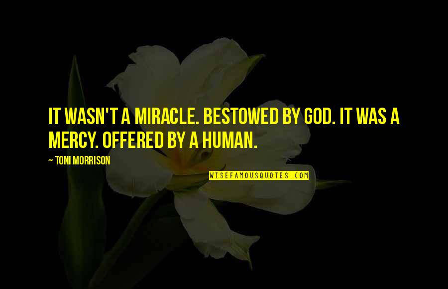 Break Wall Quotes By Toni Morrison: It wasn't a miracle. Bestowed by God. It