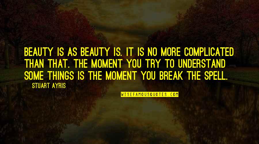 Break You Quotes By Stuart Ayris: Beauty is as beauty is. It is no Break You Quotes By Stuart Ayris: Beauty is as beauty is. It is no