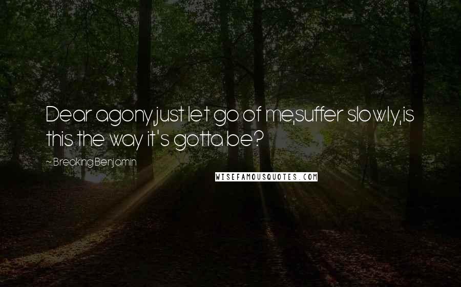 Breaking Benjamin quotes: Dear agony,just let go of me,suffer slowly,is this the way it's gotta be?
