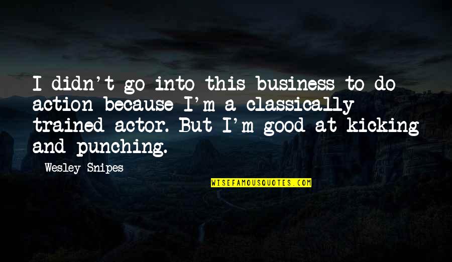 Breaking Limitations Quotes By Wesley Snipes: I didn't go into this business to do