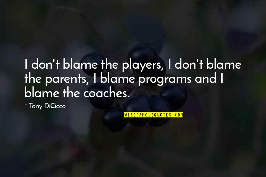 Breaking Necks Quotes By Tony DiCicco: I don't blame the players, I don't blame