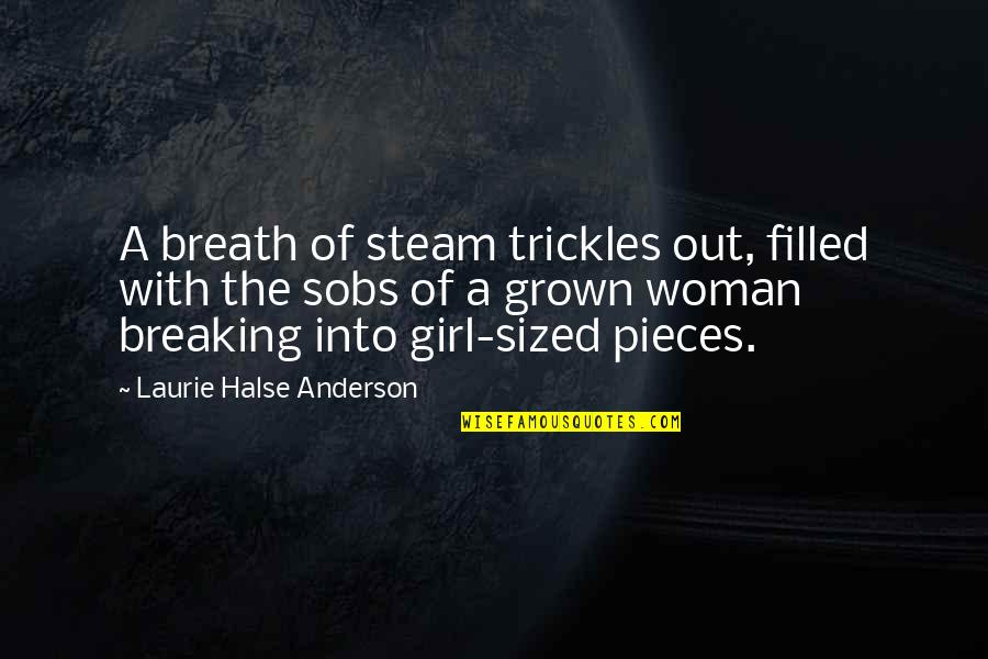 Breaking Out Quotes By Laurie Halse Anderson: A breath of steam trickles out, filled with