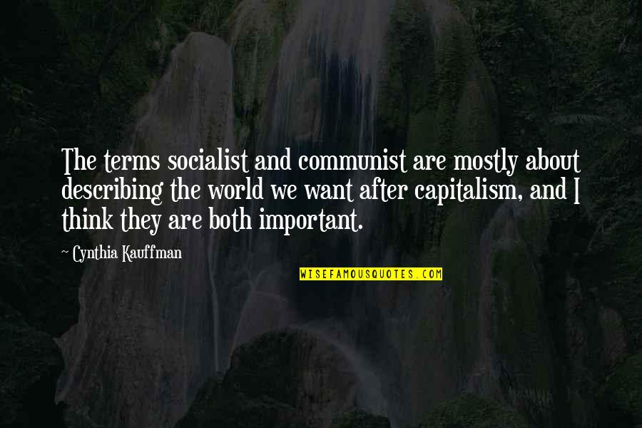 Breaking Record Quotes By Cynthia Kauffman: The terms socialist and communist are mostly about