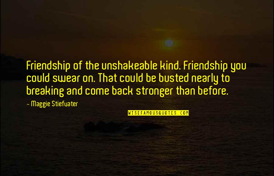 Breaking Up Friendship Quotes By Maggie Stiefvater: Friendship of the unshakeable kind. Friendship you could