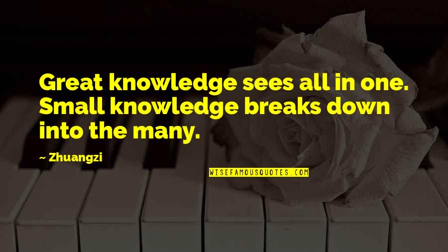 Breaking You Down Quotes By Zhuangzi: Great knowledge sees all in one. Small knowledge