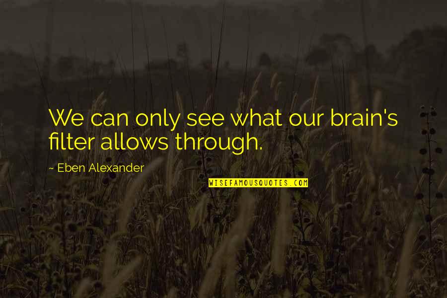Breakout Kings Quotes By Eben Alexander: We can only see what our brain's filter