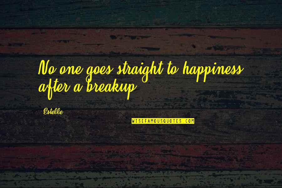 Breakup Quotes By Estelle: No one goes straight to happiness after a