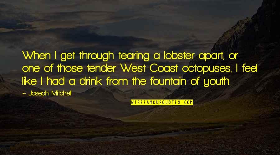 Breakups And Letting Go Quotes By Joseph Mitchell: When I get through tearing a lobster apart,