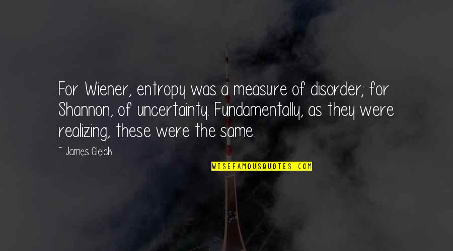 Breasley Foam Quotes By James Gleick: For Wiener, entropy was a measure of disorder;