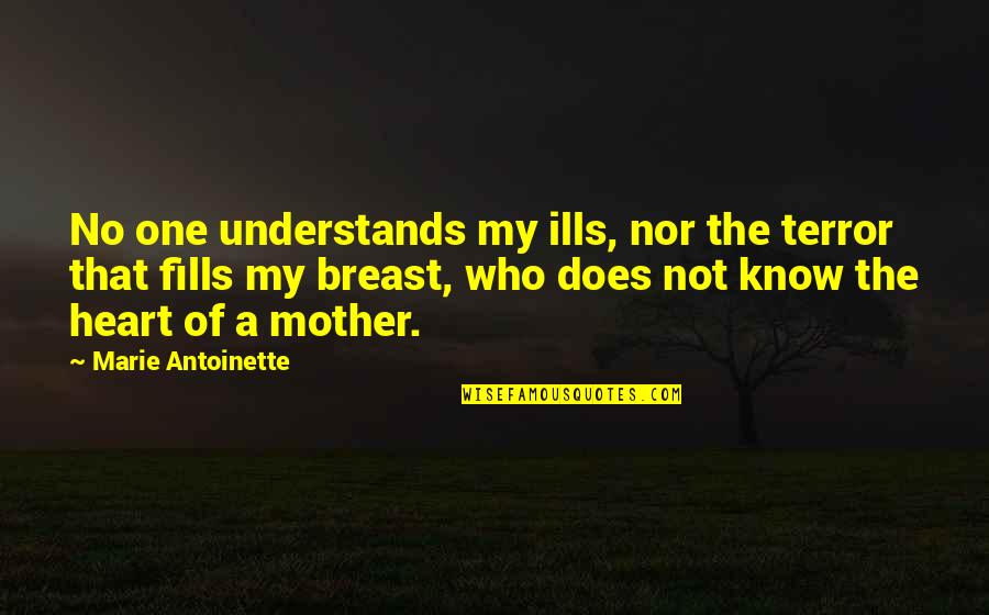 Breast Quotes By Marie Antoinette: No one understands my ills, nor the terror