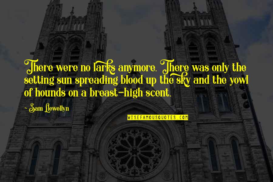 Breast Quotes By Sam Llewellyn: There were no larks anymore. There was only