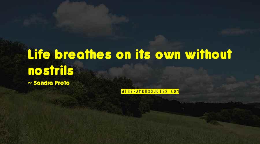 Breath Of My Life Quotes By Sandra Proto: Life breathes on its own without nostrils Breath Of My Life Quotes By Sandra Proto: Life breathes on its own without nostrils