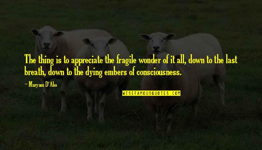 Breath On Embers Quotes By Maryam D'Abo: The thing is to appreciate the fragile wonder Breath On Embers Quotes By Maryam D'Abo: The thing is to appreciate the fragile wonder