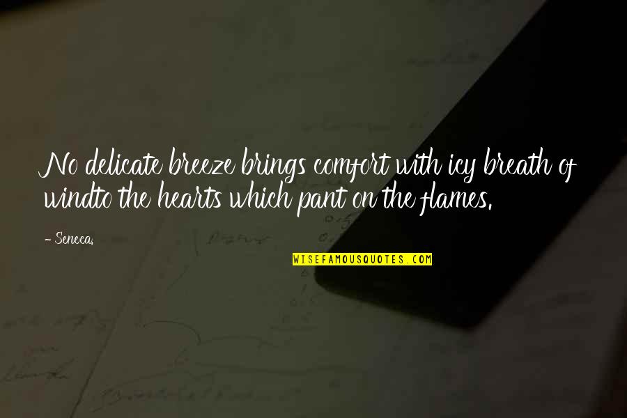 Breath On Quotes By Seneca.: No delicate breeze brings comfort with icy breath Breath On Quotes By Seneca.: No delicate breeze brings comfort with icy breath