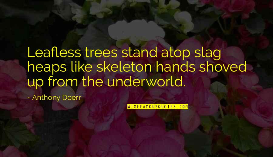 Breath Play Quotes By Anthony Doerr: Leafless trees stand atop slag heaps like skeleton