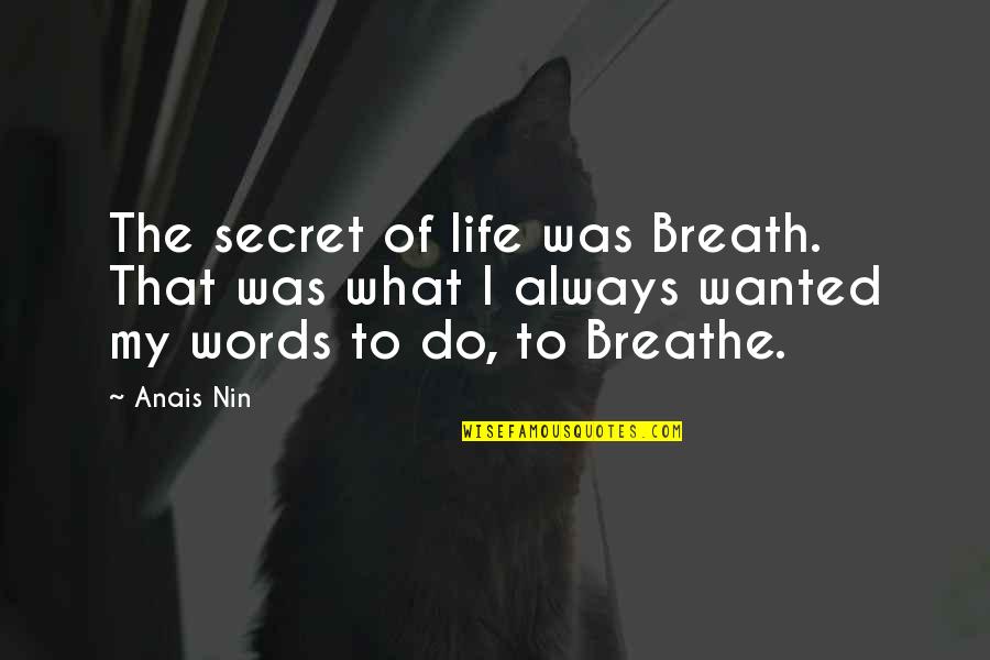 Breathe For Life Quotes By Anais Nin: The secret of life was Breath. That was
