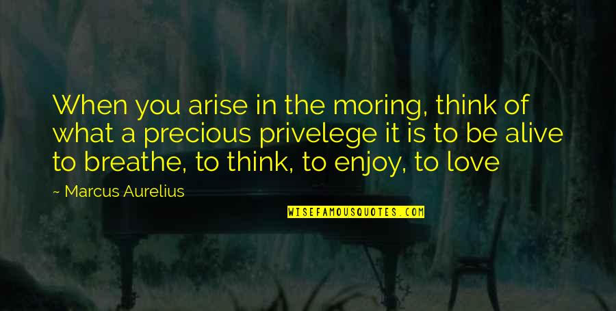 Breathe In Quotes By Marcus Aurelius: When you arise in the moring, think of