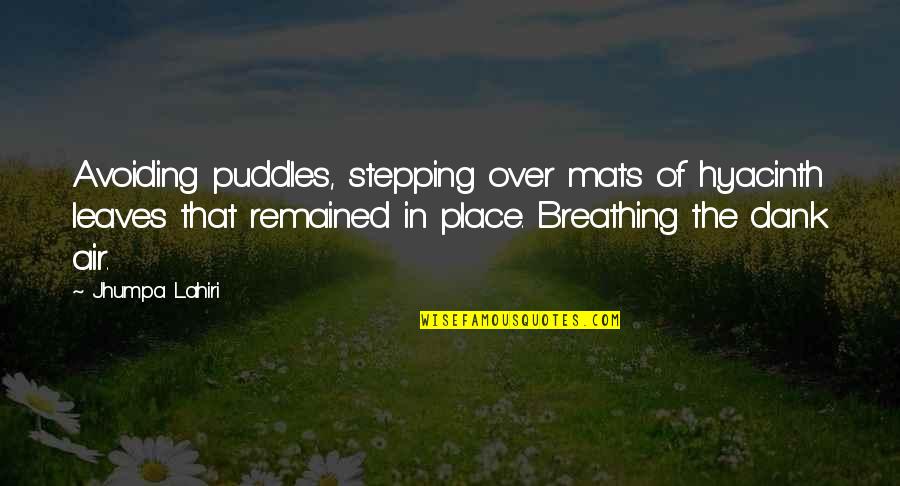 Breathing Air Quotes By Jhumpa Lahiri: Avoiding puddles, stepping over mats of hyacinth leaves Breathing Air Quotes By Jhumpa Lahiri: Avoiding puddles, stepping over mats of hyacinth leaves