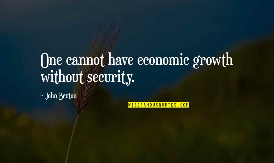 Breathing And Health Quotes By John Bruton: One cannot have economic growth without security.