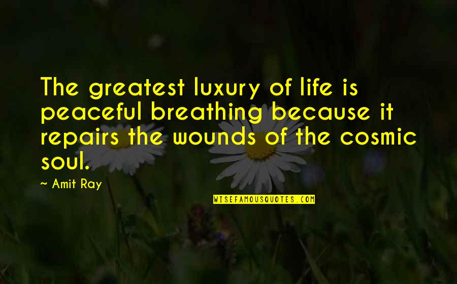 Breathing In Life Quotes By Amit Ray: The greatest luxury of life is peaceful breathing