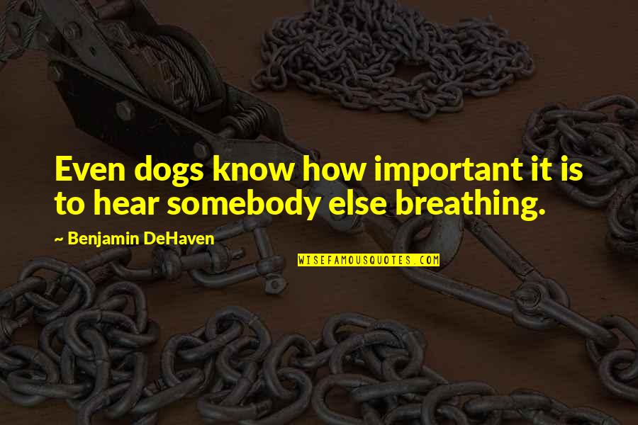 Breathing In Love Quotes By Benjamin DeHaven: Even dogs know how important it is to