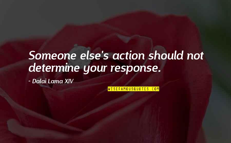 Breating Quotes By Dalai Lama XIV: Someone else's action should not determine your response.
