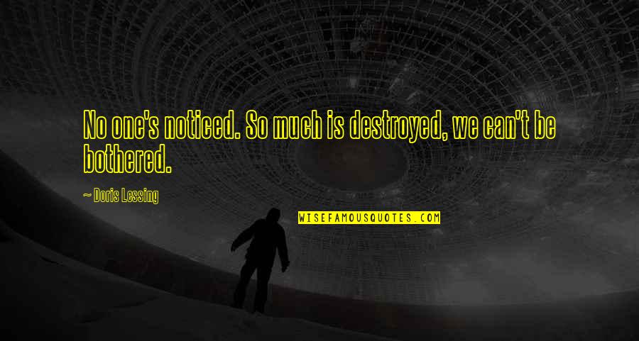 Bredemeyer Sisters Quotes By Doris Lessing: No one's noticed. So much is destroyed, we Bredemeyer Sisters Quotes By Doris Lessing: No one's noticed. So much is destroyed, we