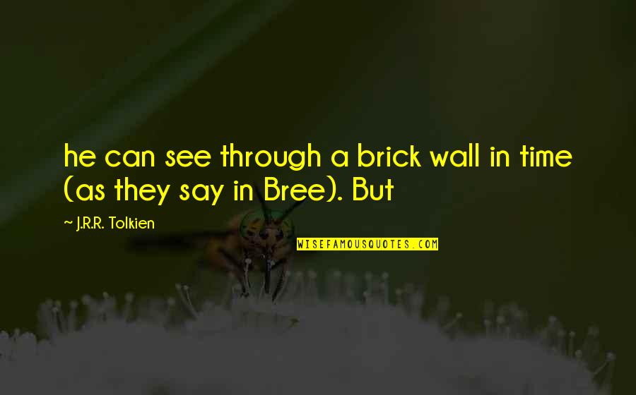 Bree Quotes By J.R.R. Tolkien: he can see through a brick wall in