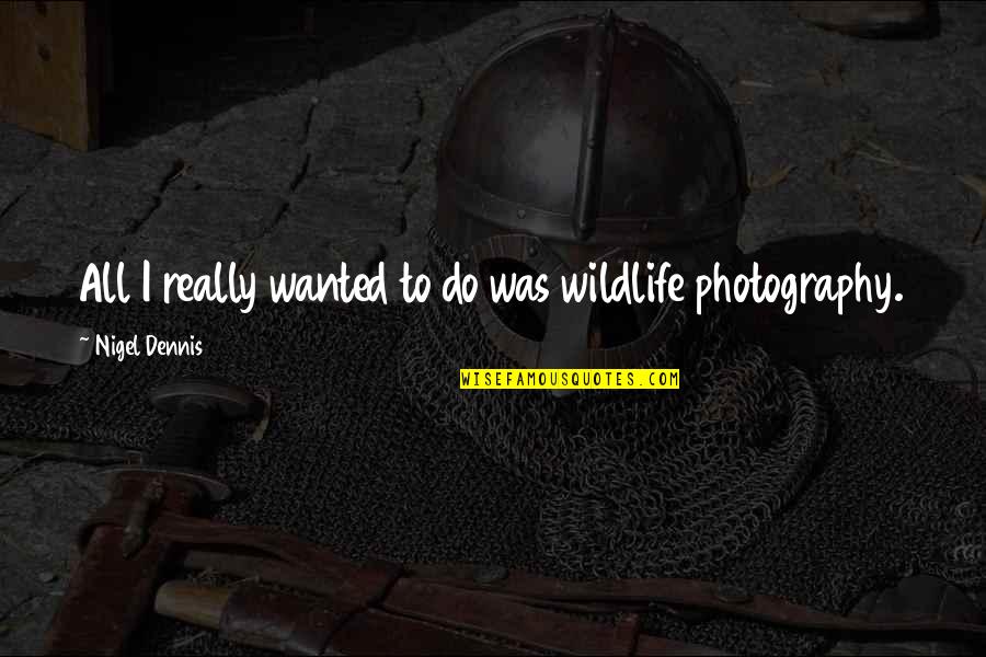 Breeanna Weidenbener Quotes By Nigel Dennis: All I really wanted to do was wildlife Breeanna Weidenbener Quotes By Nigel Dennis: All I really wanted to do was wildlife
