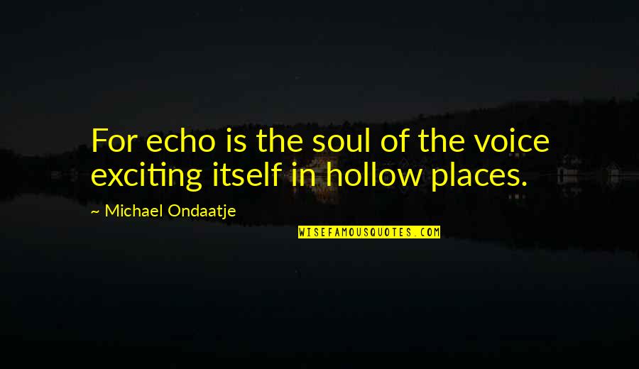 Breece Quotes By Michael Ondaatje: For echo is the soul of the voice Breece Quotes By Michael Ondaatje: For echo is the soul of the voice