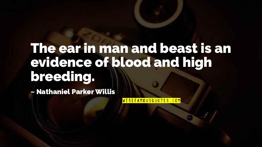 Breeding Quotes By Nathaniel Parker Willis: The ear in man and beast is an