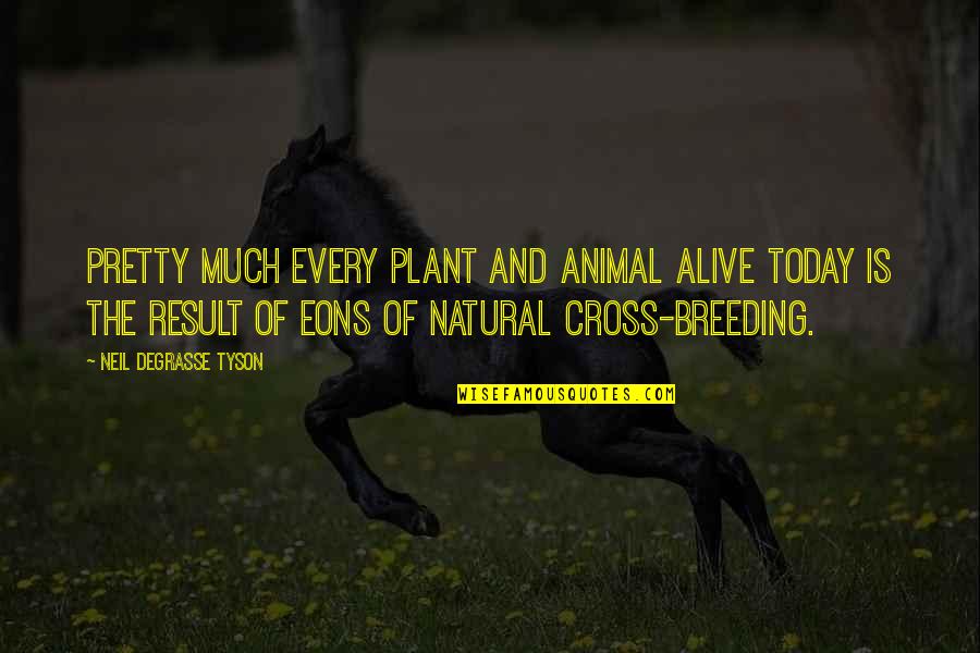 Breeding Quotes By Neil DeGrasse Tyson: Pretty much every plant and animal alive today