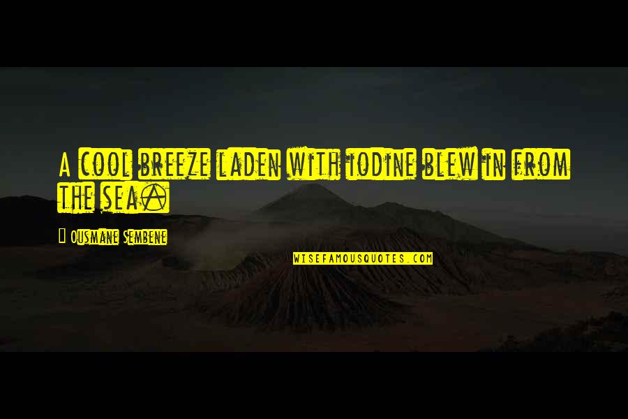 Breeze And Sea Quotes By Ousmane Sembene: A cool breeze laden with iodine blew in
