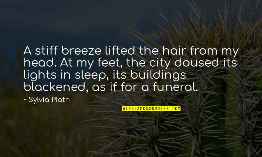 Breeze In My Hair Quotes By Sylvia Plath: A stiff breeze lifted the hair from my