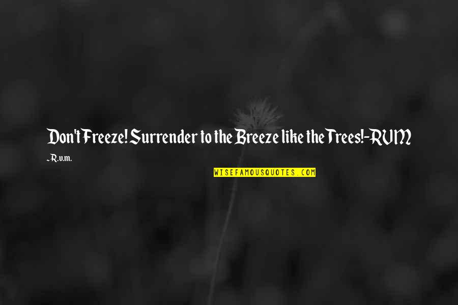 Breeze Quotes Quotes By R.v.m.: Don't Freeze! Surrender to the Breeze like the