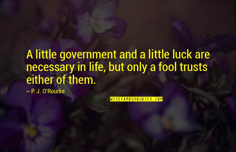 Breggin Quotes By P. J. O'Rourke: A little government and a little luck are