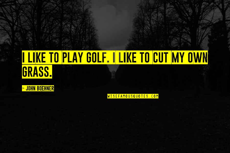 Breivik Manifesto Quotes By John Boehner: I like to play golf. I like to