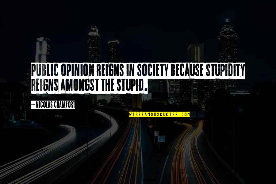 Brejky Quotes By Nicolas Chamfort: Public opinion reigns in society because stupidity reigns