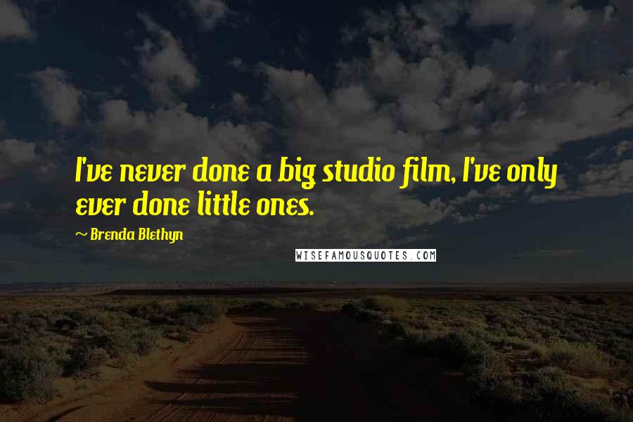 Brenda Blethyn quotes: I've never done a big studio film, I've only ever done little ones.