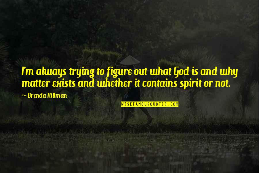 Brenda Hillman Quotes By Brenda Hillman: I'm always trying to figure out what God